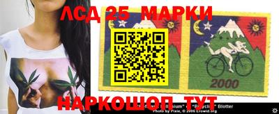 индика Мариинск