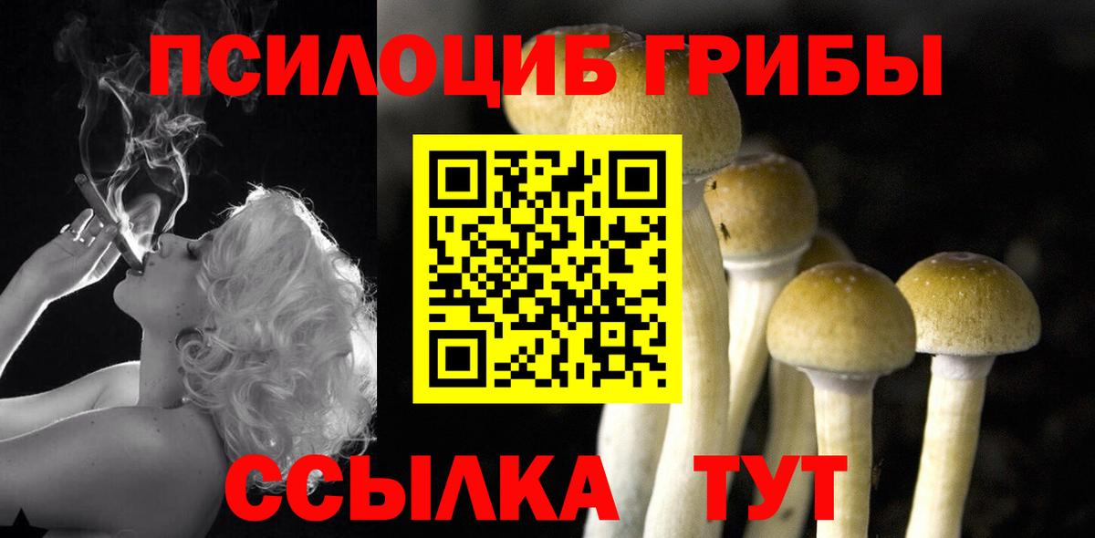 Галлюциногенные грибы Psilocybe  Вход с VPN  Чехов 
